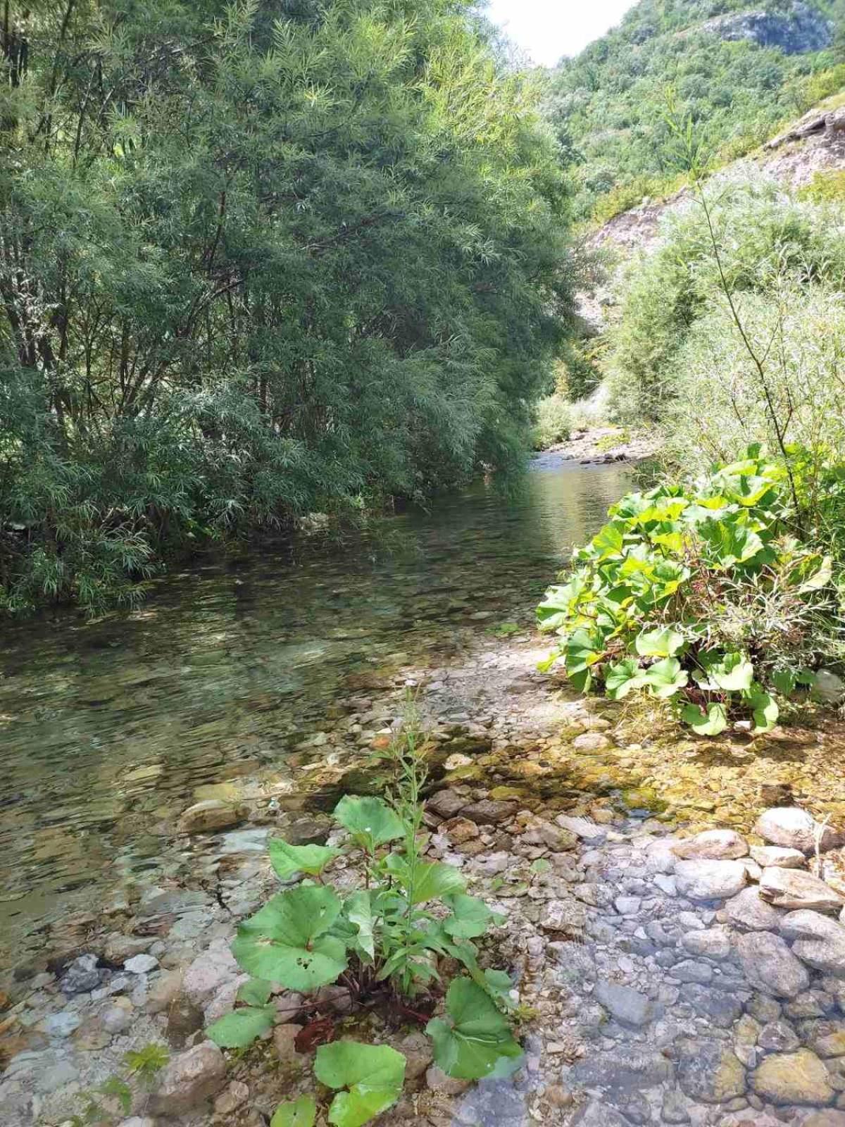 Kuca Za Odmor Diva Villa Mostar Esterno foto